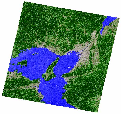 NDVI image calculated from Landsat ETM+